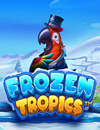 แนะนำ bonus casino online สุดคุ้มที่คุณไม่ควรพลาด